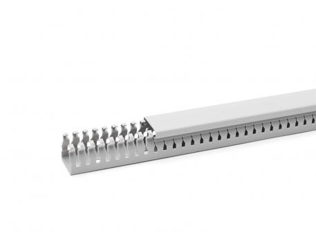 Wiring trunking BE-DIN 37.5, trunking width 37.5 2000 | 38 | 38 | Base perforation | Stone grey; RAL 7030