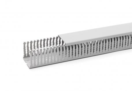 Wiring trunking NU-DIN 50, trunking width 37.5 2000 | 38 | 50 | Base perforation | Stone grey; RAL 7030