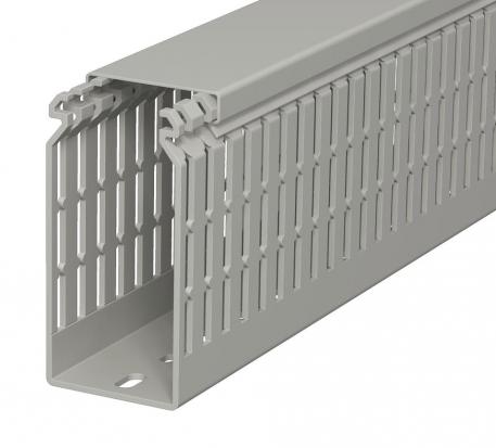 Wiring trunking, type LKV N 10050 2000 | 50 | 100 | Base perforation | Stone grey; RAL 7030